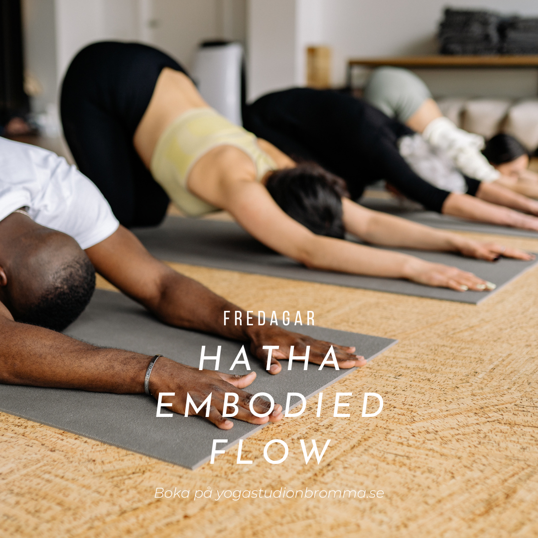 Hatha Embodied Flow - Fredagar, Lunchklass