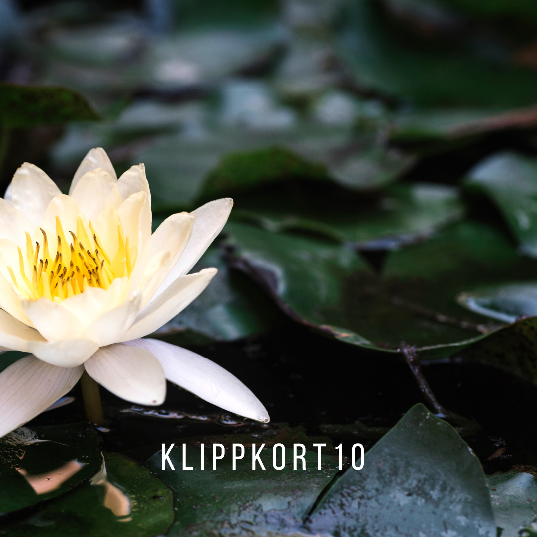 Klippkort - 10 gånger