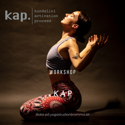 KAP - Kundalini Activation Process, 3/9, 1/10, 12/11, 3/12